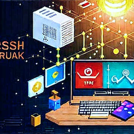 Đàn Cá Voi XRP: Tín Hiệu Tích Lũy Hay Bẫy Cảm Xúc?